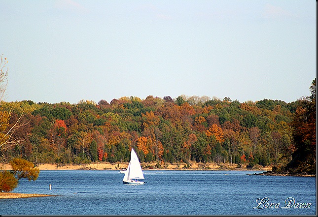 Nature's Scenic View: Fall at Caesar Creek State Park Lake